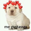 Claritza B.